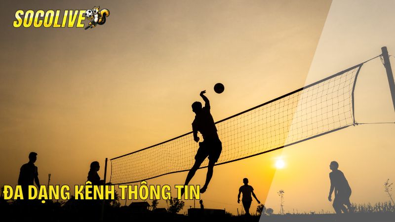 Tổng đài CSKH và trực tuyến